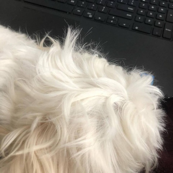 Meet your Posher, Pieceofscrap - Picture 3 of 5